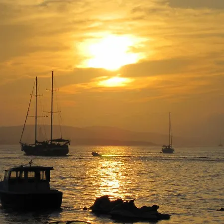 Blue Starfish 赫瓦尔