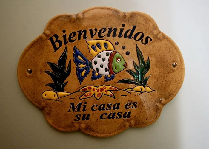 Blue Starfish Hvar Town